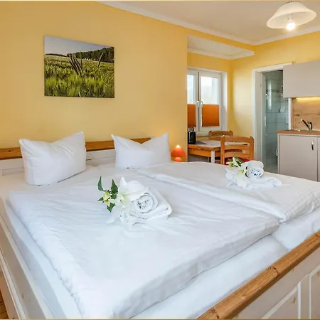 Holtz Holtz 3 צינוביץ