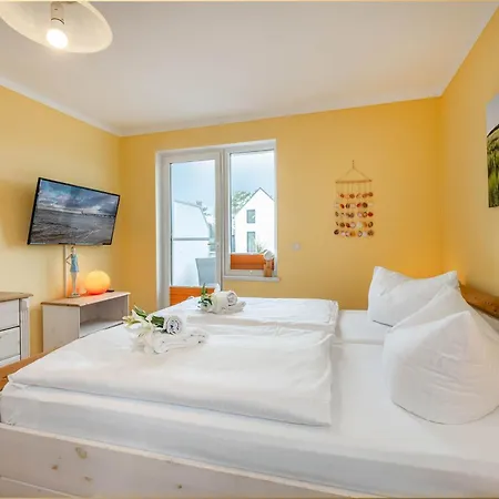 Holtz Holtz 3 צינוביץ