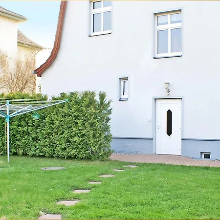 Holtz Holtz 3 צינוביץ