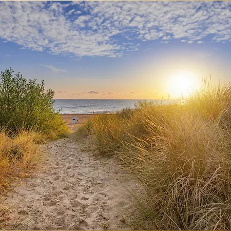 Holtz Holtz 3 צינוביץ