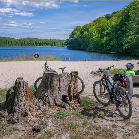 דירה Holtz Holtz 3 צינוביץ